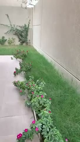 Videos