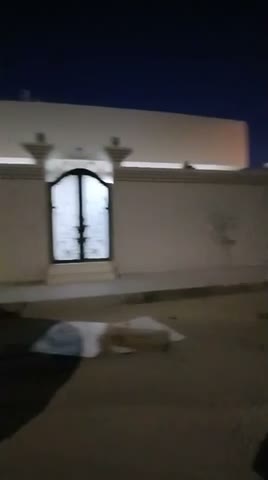  الفيديوهات