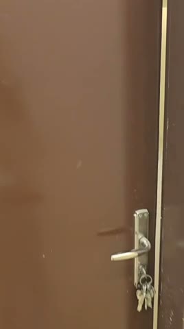 Videos