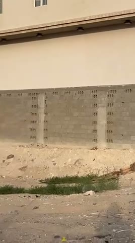 Videos