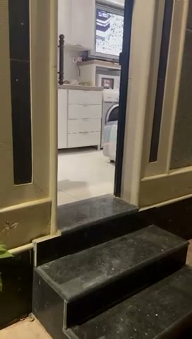 Videos