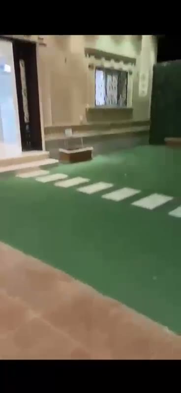 Videos