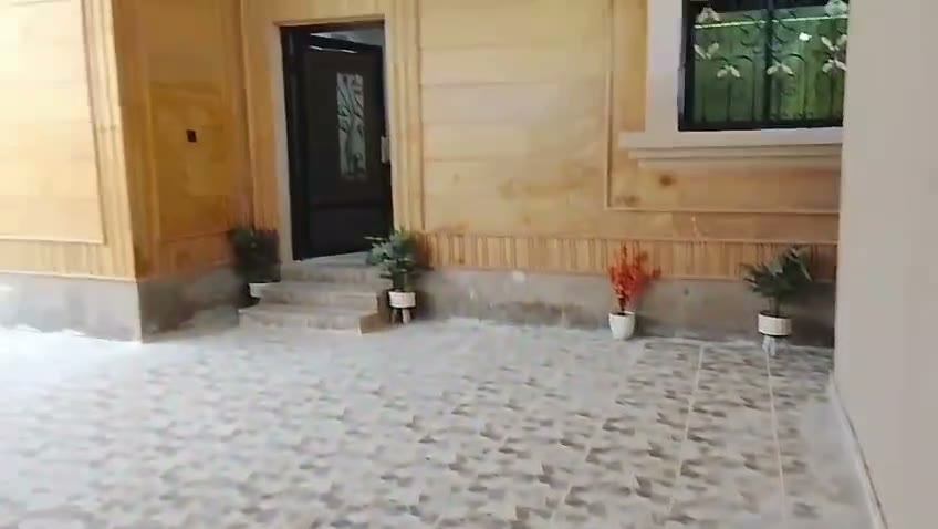 Videos