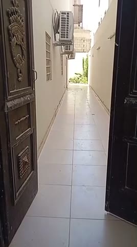 Videos