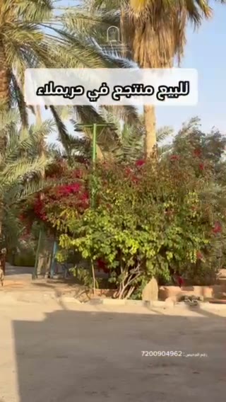  الفيديوهات