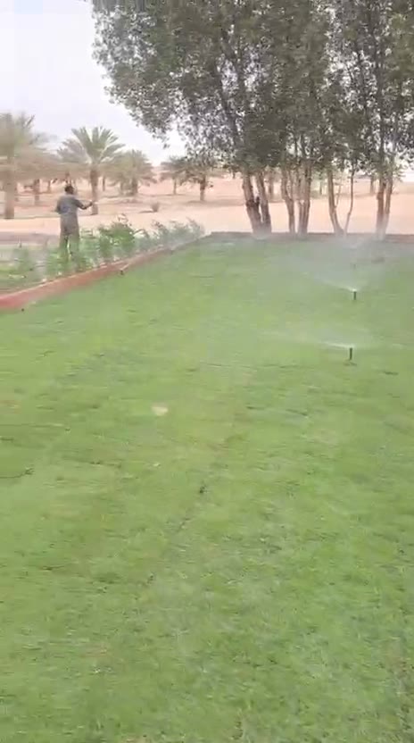  الفيديوهات