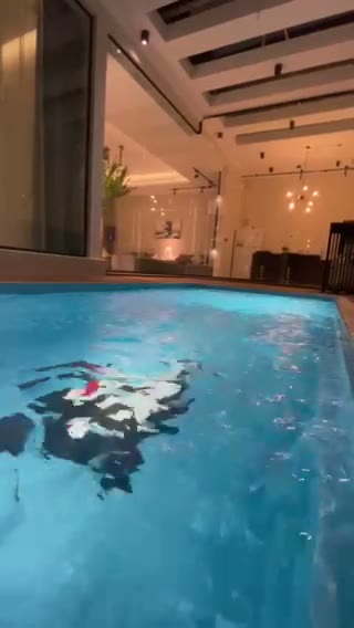  الفيديوهات