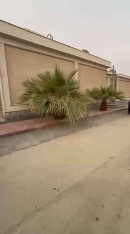  الفيديوهات