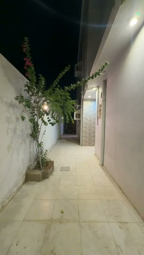  الفيديوهات