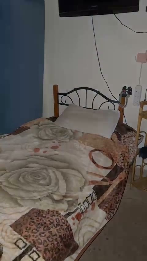Videos