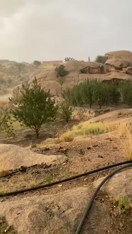 Videos