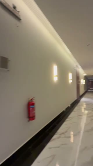 Videos