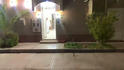 Videos
