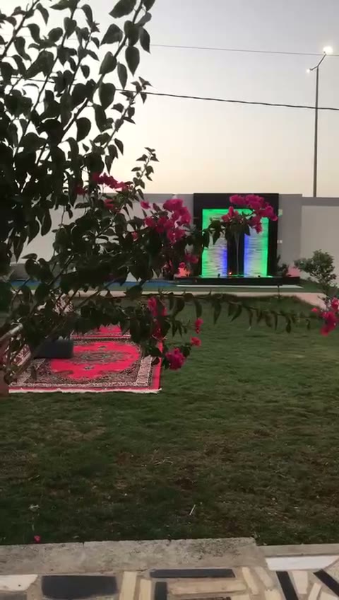  الفيديوهات