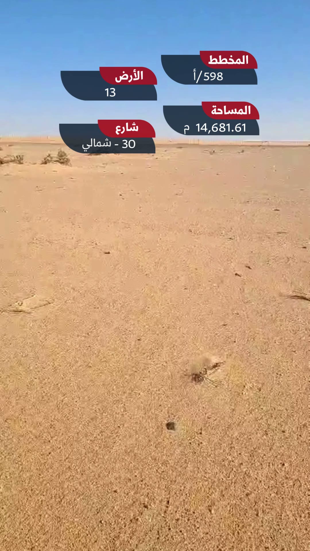 Videos