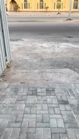 Videos