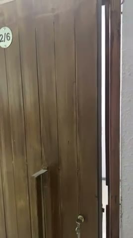 Videos