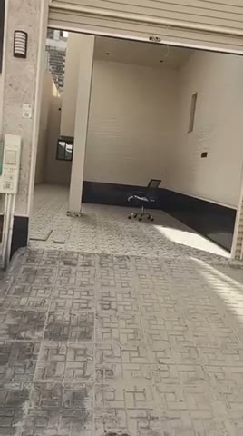Videos