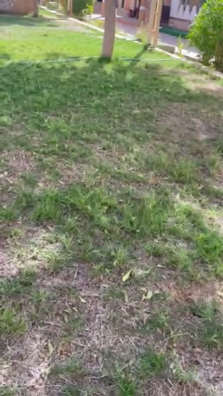 Videos
