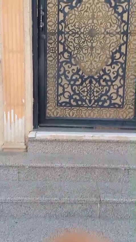  الفيديوهات