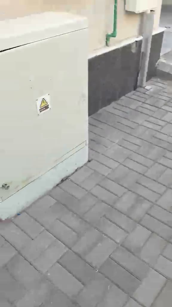 Videos