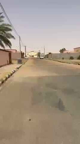 Videos
