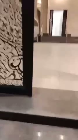 Videos