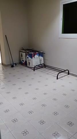 Videos