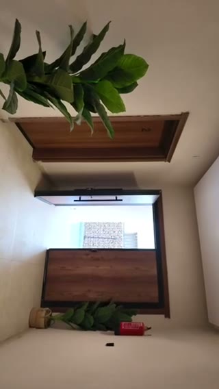 Videos