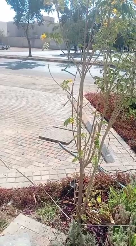 Videos