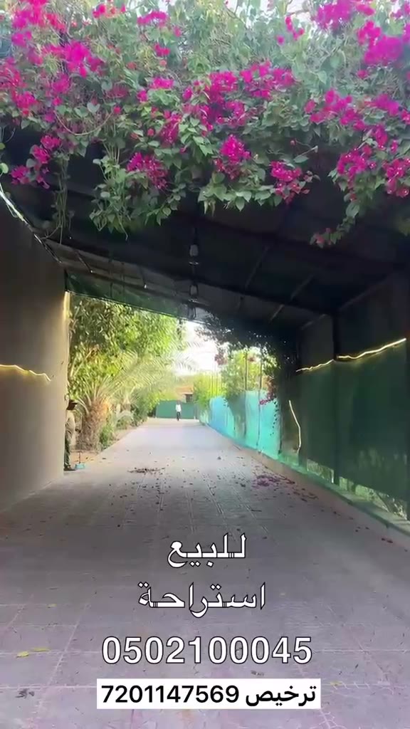  الفيديوهات
