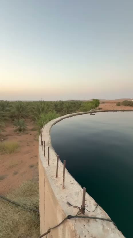 الفيديوهات