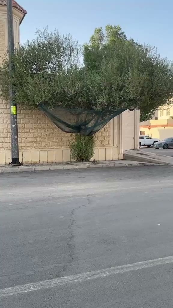  الفيديوهات