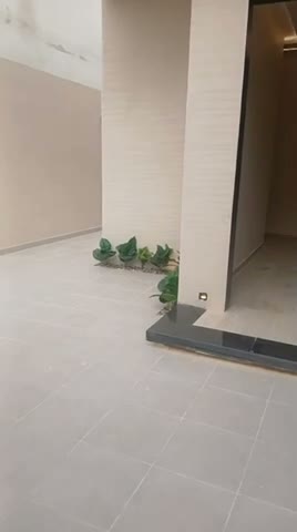 Videos