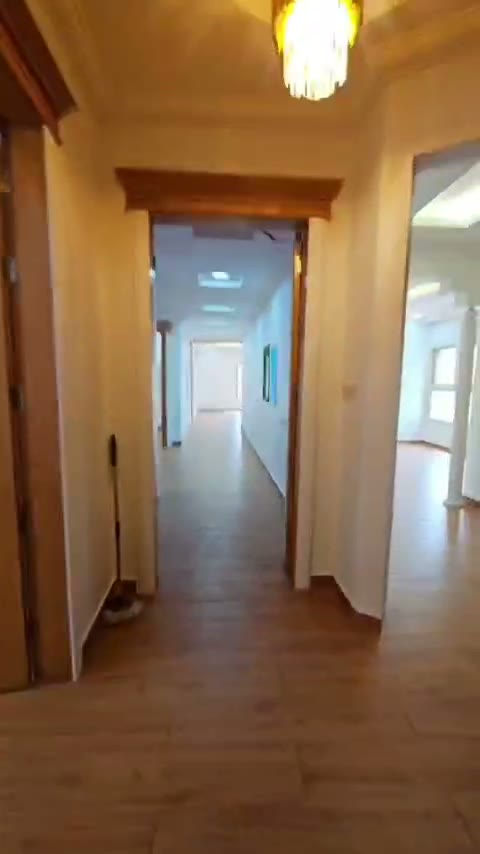 Videos