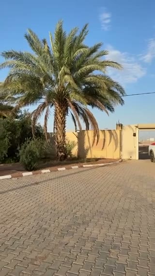 Videos
