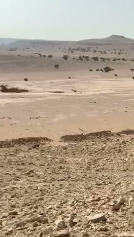 Videos