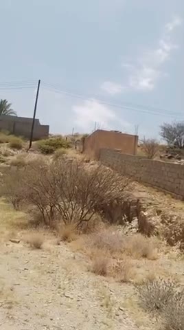 Videos