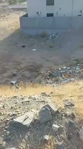 Videos