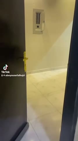 Videos