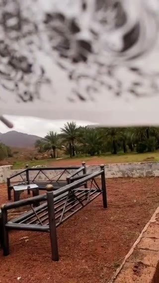 Videos