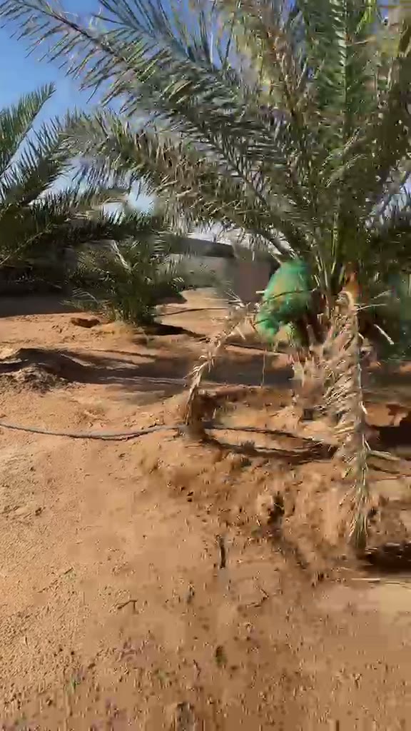 Videos