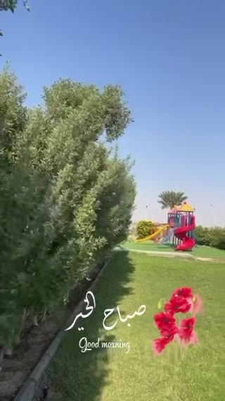 Videos