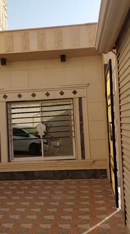 Videos