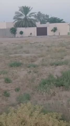Videos