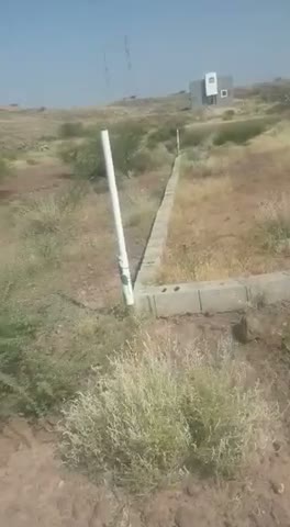 Videos