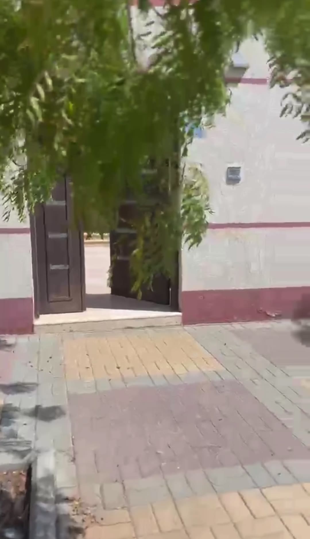  الفيديوهات