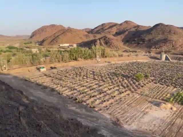 Videos