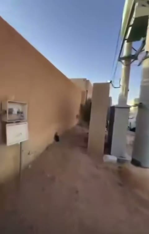 Videos
