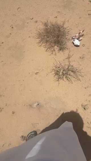 Videos